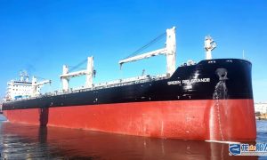 中遠海運特運接入經營第二艘全球最大77000噸多用途紙漿船